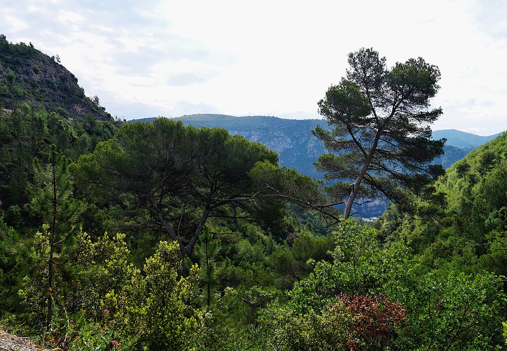 Porte blindée Alpes-Maritimes