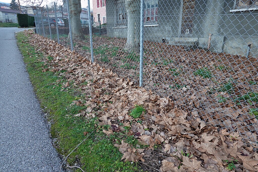 Porte blindée Bellegarde-sur-Valserine