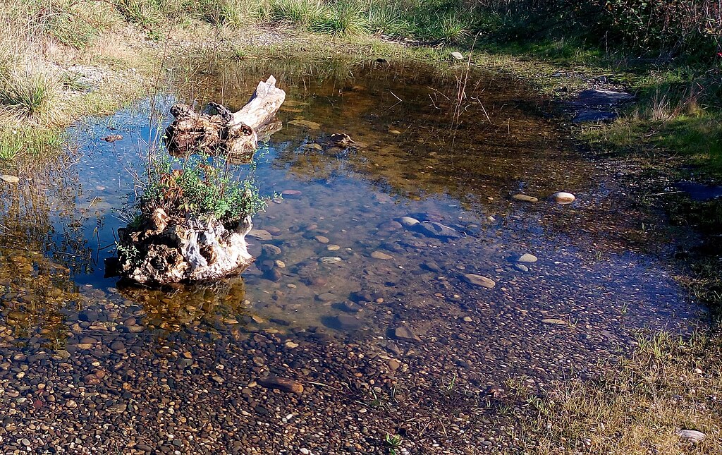 Porte blindée Wittenheim