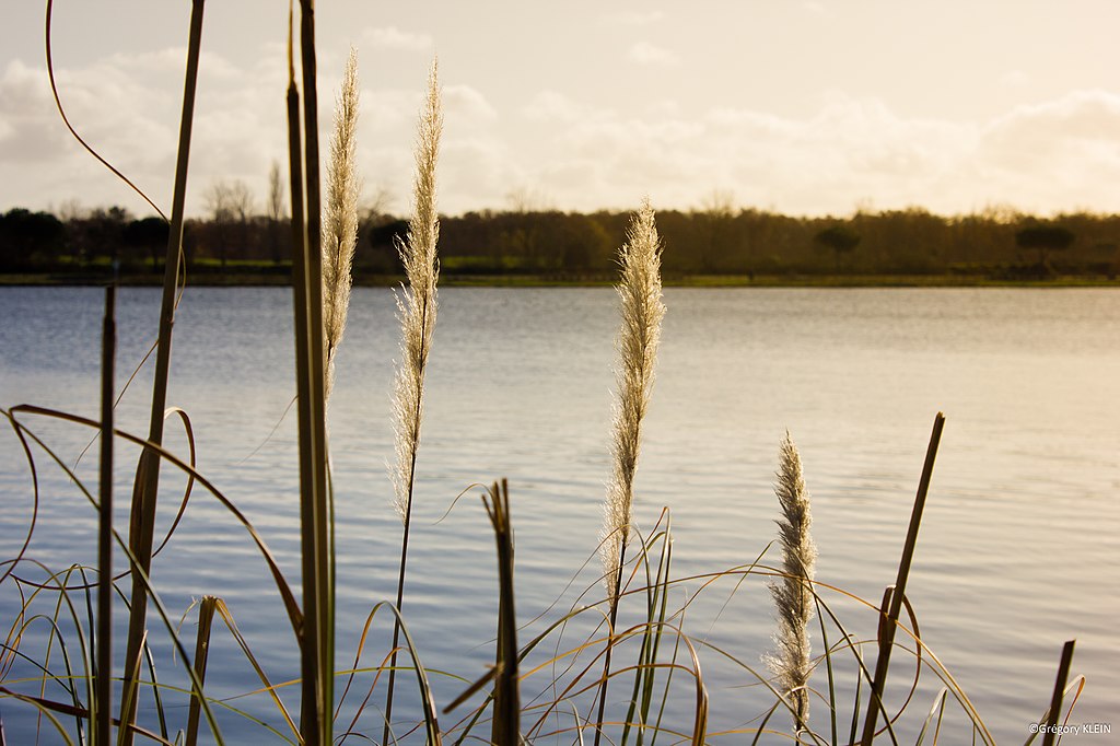 Porte blindée Tournefeuille