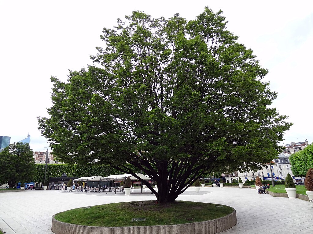 Porte blindée Puteaux