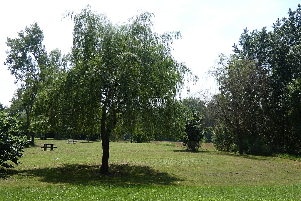 Porte blindée Marmande